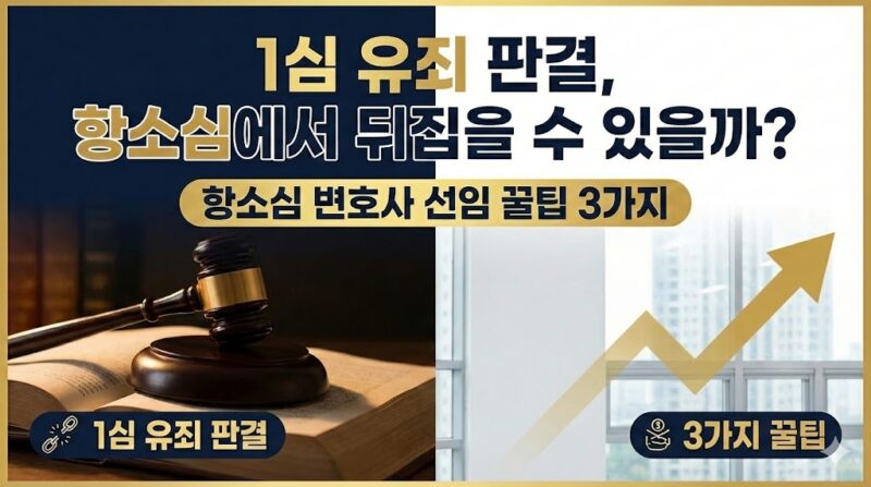항소심 변호사