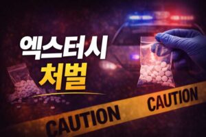 엑스터시 처벌